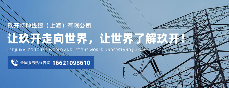 9888��˹ά��˹(�ɷ�)���޹�˾-�ٷ���վ