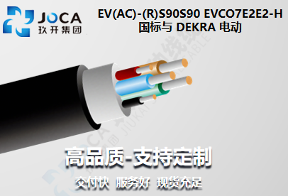 ������ DEKRA �綯